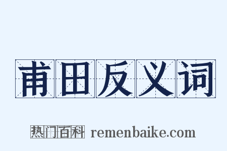 甫田反义词是什么意思的图片